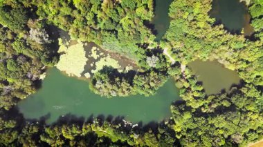 Havadan Kuşlar Göletlerin ve Doğa Koruma Alanının Arazisine Bakar