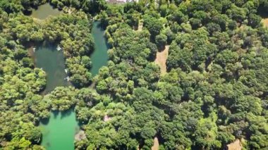 Havadan kuşların bakış açısı, üç gölet ve etrafını çevreleyen ağaçlarla doğal rezerv alanı.