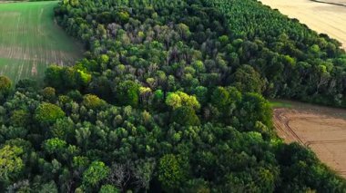 Ormandaki ağaçların yüksek açılı havadan uçuşu güneş batarken kırsal kesimle çevrilidir.