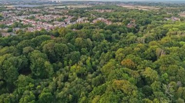 Victoria şehir parkı ağaçlarının ve çevresindeki yerleşim alanlarının hava aracı görüntüsü yazın günbatımında
