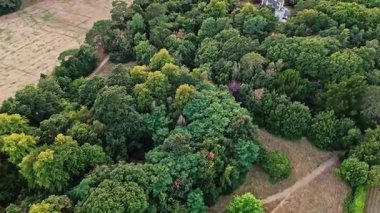 Hava Alçak İHA 'sı, İngiltere' deki Victoria kır parkında yazın günbatımında ağaçların üzerinden uçarak sağa doğru uçarken vuruldu. 