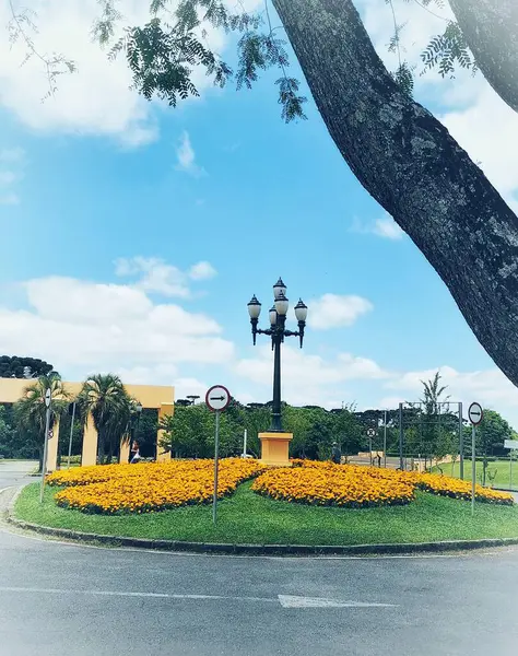 Etrafı sarı çiçeklerle çevrili büyüleyici bir döner kavşak tam çiçeklenme halinde. Arka planda, açık mavi bir gökyüzü birkaç beyaz bulut ve solunda büyük bir ağaç var. Sahneyi aydınlatan zarif bir sokak lambasıyla aydınlatılıyor.