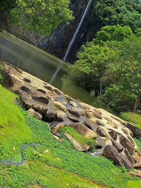 Yoğun bitki örtüsü ve doğal kayalarla çevrili sakin bir göle dökülen şelalenin güzel manzarası. Sahne, ağaçların arasından süzülen ışıkla, doğanın sükunetini ve dokunulmamış güzelliğini aktarır..