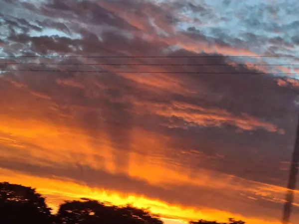 Gün batımında gökyüzünün turuncu ve mavinin sıcak tonlarıyla boyandığı etkileyici bir sahne. Güneş ışınları bulutların arasından süzülerek barış ve güzellik yayan dramatik bir etki yaratıyor. Ön plandaki ağaçların siluetleri sükuneti arttırır.