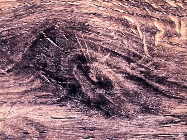 Doğal ahşabın etkileyici dokusu, tahıl yüzeylerinde benzersiz ve ilgi çekici desenler sergiliyor. Renk nüansları ve lif ayrıntıları doğanın güzelliğini yakından yansıtan organik, misafirperver bir his yaratıyor..