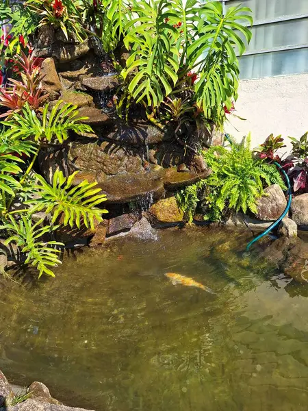 Bereketli, renkli tropikal yapraklarla çevrili küçük bir şelalesi olan güzel ve sakin bir göl manzarası. Berrak sudaki bitki örtüsünün yansıması sükuneti artırır. Bir balığın yüzdüğü görülebilir, bu rahatlatıcı yer kaplamasını tamamladığı