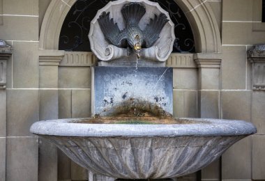 Gryphon Çeşmesi. İsviçre, Bern 'in Gizli Yaratıkları, 20 Haziran 2024. 