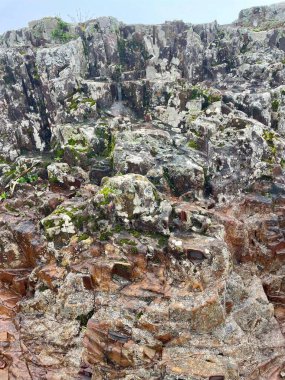 Engebeli bir kaya oluşumunun detaylı bir yakın çekimi toprak ve doğal dokuların karışımını gösteriyor, yeşil yosun parçalarıyla, jeolojik erozyonun güzelliğini ve doğanın sanatsallığını gösteriyor..