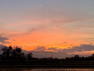 Siluetli ağaçlar ve uzak dağlarla dolu kırsal bir arazide huzurlu bir günbatımı..