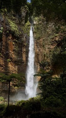 Büyüleyici bir Kapas Biru Şelalesi Lumajang yemyeşil bir kayalıktan aşağı yuvarlanıyor. Güneş ışığı ağaçların arasından süzülerek sakin ve sakin bir atmosfer yaratır..