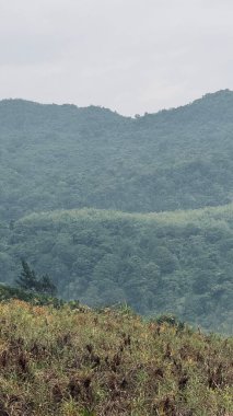 Bulutlu bir gökyüzünün altında yemyeşil tepelerin bulunduğu sakin bir manzara. Yoğun orman yamaçları ve çimenli bir ön planı kaplıyor..