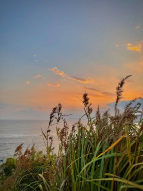 Sunset over the ocean with grasses in the foreground, creating a serene and natural scene. The sky is painted with soft orange and blue hues, peaceful atmosphere. Payangan Beach Jember, Indonesia clipart