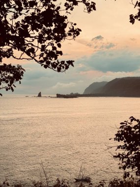 A serene coastal landscape at sunset, with silhouetted trees framing the view of the ocean and distant rocky cliffs under a cloudy sky. Payangan Beach Jember, Indonesia clipart