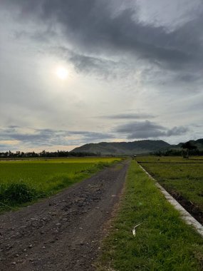 Bulutlu bir gökyüzünün altında yemyeşil pirinç tarlalarının arasından geçen toprak bir yola sahip manzaralı kırsal bir arazi. Güneş bulutların arasından gözetliyor..