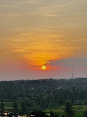 Güneş tropikal bir arazide batar, gökyüzünde altın-turuncu bir parıltı bırakır. Bereketli yeşil palmiyeler ve pirinç tarlaları ufka doğru uzanıyor. Huzurlu ve pitoresk bir manzara yaratıyor.