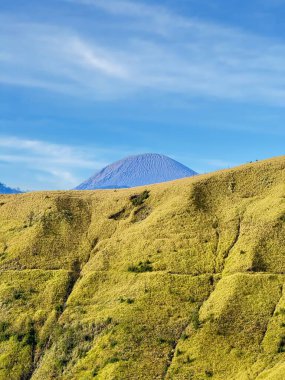 Uzun Semeru Dağı, açık gökyüzünün altında altın tepelerin ardında yükseliyor.