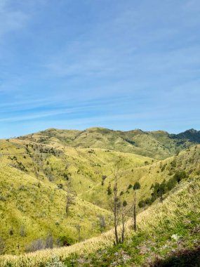 Güneşli dağ yamaçları, yemyeşil tonlarıyla ve berrak gökyüzünün altında çarpıcı kıvrımlı hatlarıyla