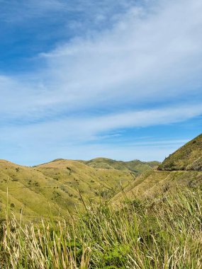 Yumuşak otları ve açık gökyüzü ile sakin doğal bir ortamda