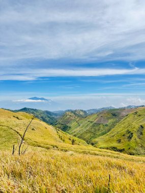 Arjuno-Welirang 'ın tepe manzarası altın tepeli beyaz bulutların üzerinde