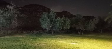 Engebeli dağların arka planında aydınlatılmış zeytin ağaçlarının yer aldığı gece manzarası dingin ve gizemli bir atmosfer yaratıyor. Işık ve gölgelerin karışımı doğanın güzelliğini arttırır..