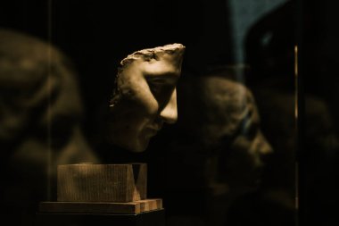 Bir müzedeki yüz heykelinin portresi ve diğer heykellerin yansıması..