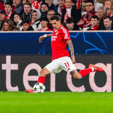 UEFA Şampiyonlar Ligi Benfica - Bolonha, Luz Stadyumu, Lisboa, Portekiz. Benfica takımından Di Maria.