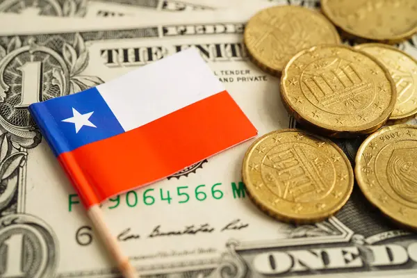 Amerikan doları banknotlarında altın sikke bulunan Şili bayrağı.