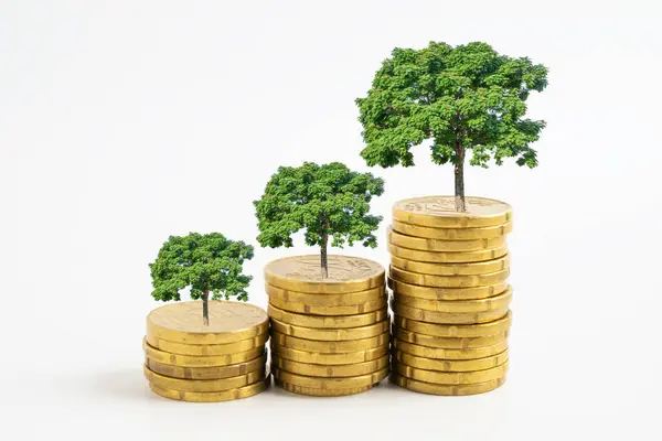 İş büyümesinin veya mali başarının para sembolü üzerine ağaç.