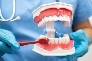 Diş fırçasıyla dişleri temizleyen doktor hasta ve dişçiye diş hekimliği dersi veriyor..