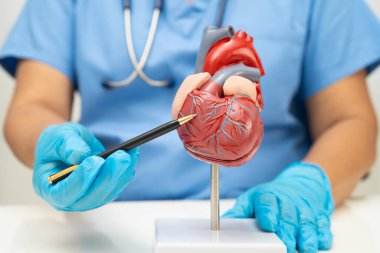 Kardiyovasküler hastalık CVD, hastanede tedavi gören hasta için kalp insan modeli anatomisi olan doktor.