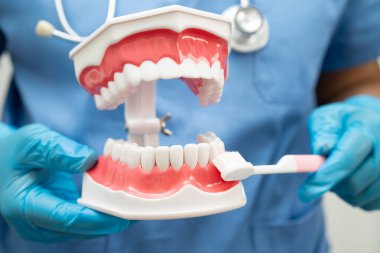 Diş fırçasıyla dişleri temizleyen doktor hasta ve dişçiye diş hekimliği dersi veriyor..