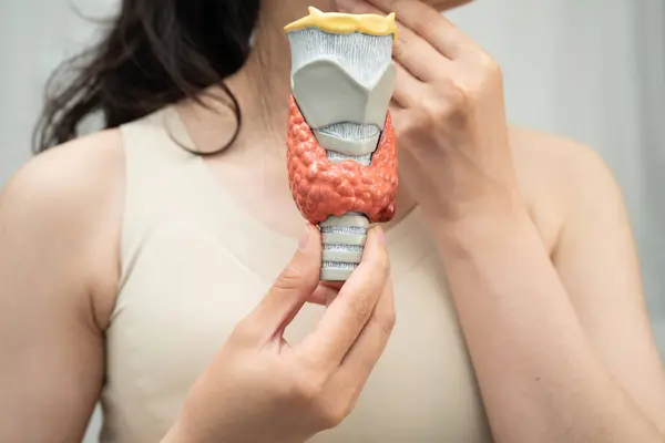 Hipertiroidizm, aşırı aktif tiroid, tiroid lenfoma, tiroid bezi insan anatomisi olan Asyalı kadın..
