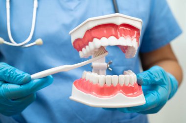 Diş fırçasıyla dişleri temizleyen doktor hasta ve dişçiye diş hekimliği dersi veriyor..