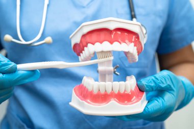 Diş fırçasıyla dişleri temizleyen doktor hasta ve dişçiye diş hekimliği dersi veriyor..