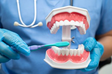 Diş fırçasıyla dişleri temizleyen doktor hasta ve dişçiye diş hekimliği dersi veriyor..