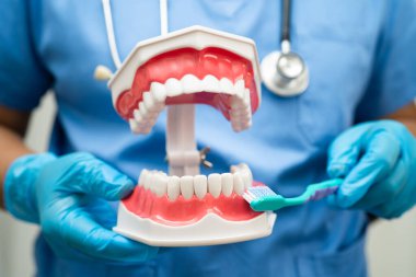 Diş fırçasıyla dişleri temizleyen doktor hasta ve dişçiye diş hekimliği dersi veriyor..