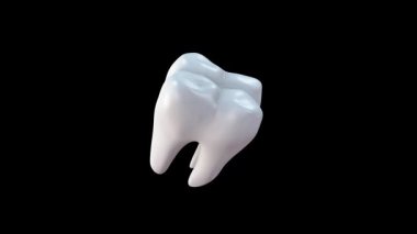  Sağlık Diş döngüsü siyah arka planda döner. 3d canlandırma