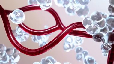 Deri hücre dışı matriste fibroblast aktivasyonu ve kolajen lifleri yenilenmesi. Yaşlanma önleyici kırışıklık azaltma tedavisinden önce ve sonra deri dokularının çapraz kesimi. 3d canlandırma