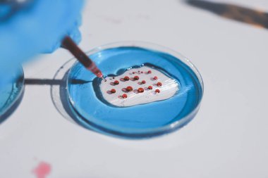 Klinik laboratuvarında çalışan araştırmacılar.