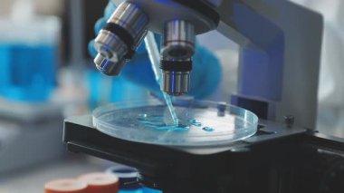 Laboratuvarda çalışan bilim adamı.