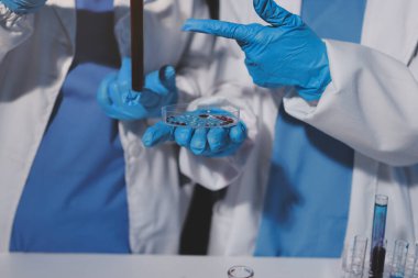 Klinik laboratuvarında çalışan araştırmacılar.