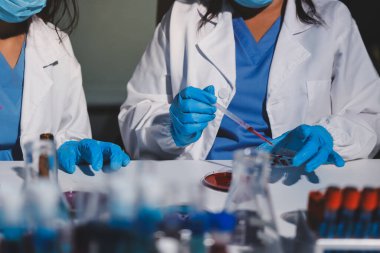 Klinik laboratuvarında çalışan araştırmacılar.