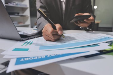 Evden çalışan, iş kadını dizüstü bilgisayar kullanıyor ve mali raporları analiz ediyor..