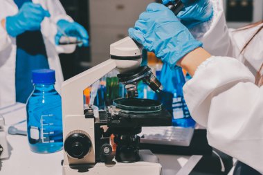 Bilimadamı laboratuarda tıbbi örnekleri mikro plakaya yerleştiriyor.