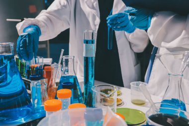 Bilimadamı laboratuarda tıbbi örnekleri mikro plakaya yerleştiriyor.