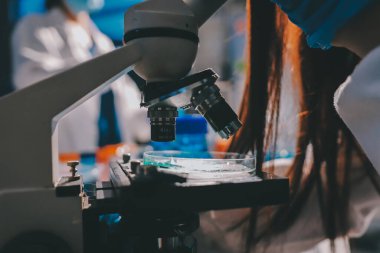 Bilimadamı laboratuarda tıbbi örnekleri mikro plakaya yerleştiriyor.