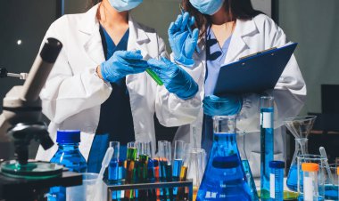 Bilimadamı laboratuarda tıbbi örnekleri mikro plakaya yerleştiriyor.