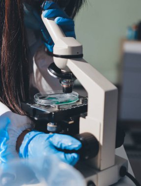 Bilimadamı laboratuarda tıbbi örnekleri mikro plakaya yerleştiriyor.