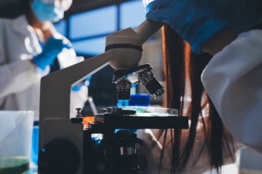 Bilimadamı laboratuarda tıbbi örnekleri mikro plakaya yerleştiriyor.