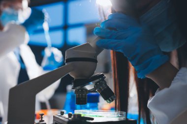 Bilimadamı laboratuarda tıbbi örnekleri mikro plakaya yerleştiriyor.